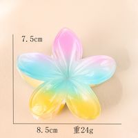 Women's Sweet Simple Style Flower Plastic Hair Clip sku image 45