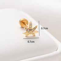 1 Piece Ear Cartilage Rings & Studs Ethnic Style Classic Style Star Leaves Heart Shape 304 Stainless Steel Copper Polishing Inlay Diamond 18K Gold Plated Ear Cartilage Rings & Studs sku image 11