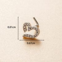 1 Piece Nose Rings & Studs Casual Simple Style Classic Style Heart Shape 316L Stainless Steel  Copper Inlay Zircon Nose Rings & Studs main image 2