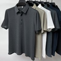 Men's Solid Color Simple Style Turndown Short Sleeve Loose Men's T-shirt main image 7