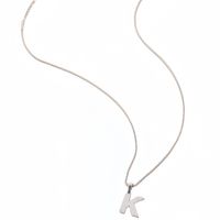 Titan Stahl Einfacher Stil Pendeln Überzug Brief Halskette Mit Anhänger main image 5
