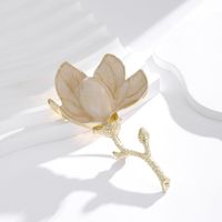 IG Style Classic Style Korean Style Heart Shape Ship Flower Alloy Inlay Rhinestones Pearl Unisex Corsage Brooches Collar Pin main image 7