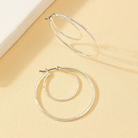 1 Pair Luxurious Simple Style Circle Alloy Earrings main image 3