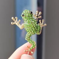 Cartoon Style Animal Alloy Inlay Rhinestones Unisex Brooches sku image 9