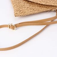 Women's Small Straw Geometric Streetwear Flip Cover Straw Bag main image 3