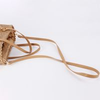 Women's Medium Polyester Cotton Straw Solid Color Basic Beach Zipper Straw Bag main image 5