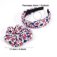 Women's Classic Style American Flag Cloth Printing Hair Band main image 4