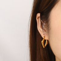 1 Paar Einfacher Stil Geometrisch Edelstahl 304 18 Karat Vergoldet Ohrringe main image 8