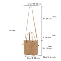 Women's Medium Polyester Cotton Straw Solid Color Basic Beach Zipper Straw Bag main image 2