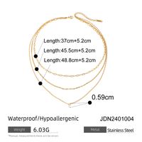 304 Stainless Steel Classic Style Layered Solid Color Necklace sku image 1