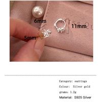 1 Pair Simple Style Round Inlay Sterling Silver Zircon Earrings main image 2