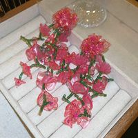 1 Paar Vintage-Stil Ferien Blume Aryl Tropfenohrringe sku image 1