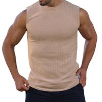 Men's Solid Color Simple Style Round Neck Sleeveless Regular Fit Men's Tops main image 2