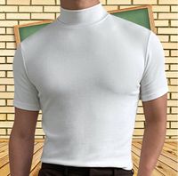 Hombres Color Sólido Estilo Simple Suéter Tipo Con Cuello De Tortuga Manga Corta Ajuste Regular Camiseta Hombre main image 2