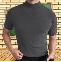 Hombres Color Sólido Estilo Simple Suéter Tipo Con Cuello De Tortuga Manga Corta Ajuste Regular Camiseta Hombre main image 3