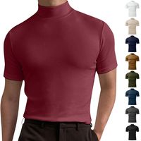 Hombres Color Sólido Estilo Simple Suéter Tipo Con Cuello De Tortuga Manga Corta Ajuste Regular Camiseta Hombre main image 1