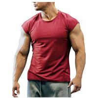 Men's Solid Color Simple Style Round Neck Sleeveless Loose Men's T-shirt main image 2