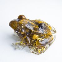 Simple Style Frog Natural Crystal Artificial Decorations sku image 4