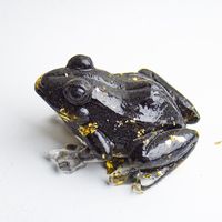 Simple Style Frog Natural Crystal Artificial Decorations sku image 10