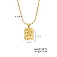304 Stainless Steel 18K Gold Plated Vintage Style Simple Style Plating Irregular Pendant Necklace main image 7