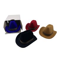 Cartoon Style Cowboy Hat Plastic Flocking Jewelry Boxes main image 3