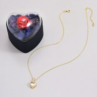 Wholesale Basic Modern Style Classic Style Heart Shape Copper Plating Inlay Zircon Pendant Necklace main image 3