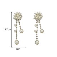 1 Pair Elegant Sweet Flower Beaded Crystal Pearl Copper Drop Earrings main image 2