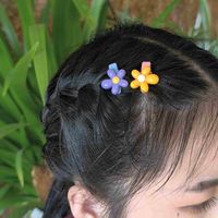 Women's Casual Cute Flower Resin Inlay Resin Hair Clip main image 2