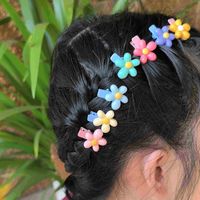 Women's Casual Cute Flower Resin Inlay Resin Hair Clip main image 3