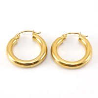 Fashion Round Titanium Steel Plating Hoop Earrings 1 Pair sku image 1