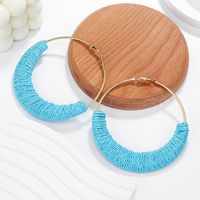 1 Pair Hawaiian Vacation Tropical Geometric Round Braid Alloy Raffia Hoop Earrings main image 8