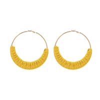 1 Pair Hawaiian Vacation Tropical Geometric Round Braid Alloy Raffia Hoop Earrings sku image 4