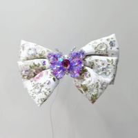 Women's Simple Style Bow Knot Artificial Crystal Cloth Artificial Gemstones Hair Clip main image 1