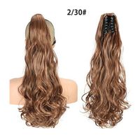 Women's Simple Style Casual Street High Temperature Wire Long Curly Hair Wigs sku image 13