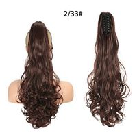 Women's Simple Style Casual Street High Temperature Wire Long Curly Hair Wigs sku image 14
