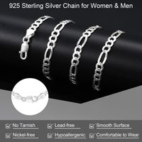 Sterling Silber Basic Klassischer Stil Einfarbig Halskette main image 2