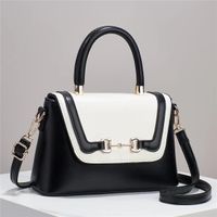 Women's Medium Pu Leather Color Block Vintage Style Classic Style Zipper Crossbody Bag sku image 1