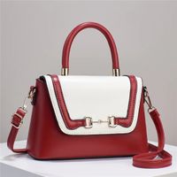 Women's Medium Pu Leather Color Block Vintage Style Classic Style Zipper Crossbody Bag sku image 4