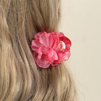 Women's Lady Sweet Flower Plastic Hair Claws main image 5