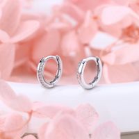 1 Pair Sweet Solid Color Inlay Sterling Silver Zircon Earrings main image 11