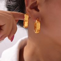 1 Pair IG Style Retro Simple Style C Shape U Shape Spiral Plating 304 Stainless Steel 18K Gold Plated Earrings main image 7