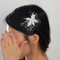Women's Elegant Bridal Streetwear Flower Artificial Crystal Beaded Hair Clip main image 3