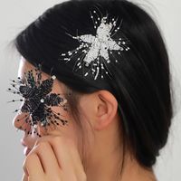 Women's Elegant Bridal Streetwear Flower Artificial Crystal Beaded Hair Clip main image 9