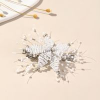 Women's Elegant Bridal Streetwear Flower Artificial Crystal Beaded Hair Clip main image 4