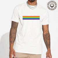Men's Rainbow Simple Style Round Neck Short Sleeve Regular Fit Men's T-shirt main image 1