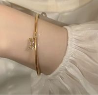 Titanium Steel Gold Plated Simple Style Plating Solid Color Bangle main image 3