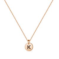 Sterling Silver 14K Gold Plated Simple Style Classic Style Commute Plating Round Letter Pendant Necklace sku image 11