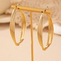 1 Pair Basic Modern Style Classic Style Oval Solid Color Iron Hoop Earrings main image 3