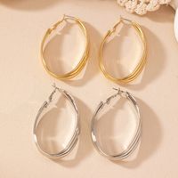 1 Pair Basic Modern Style Classic Style Oval Solid Color Iron Hoop Earrings main image 5