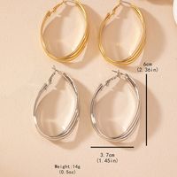 1 Pair Basic Modern Style Classic Style Oval Solid Color Iron Hoop Earrings main image 2